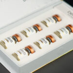 Aestacell Bella B photo 3