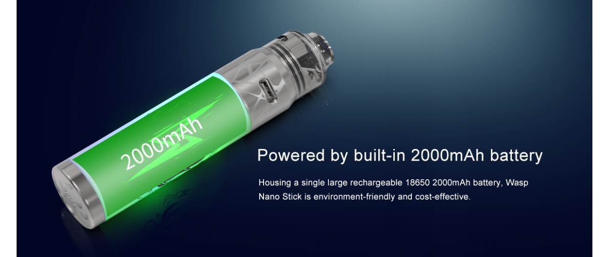 Oumier Wasp Nano Stick Kit