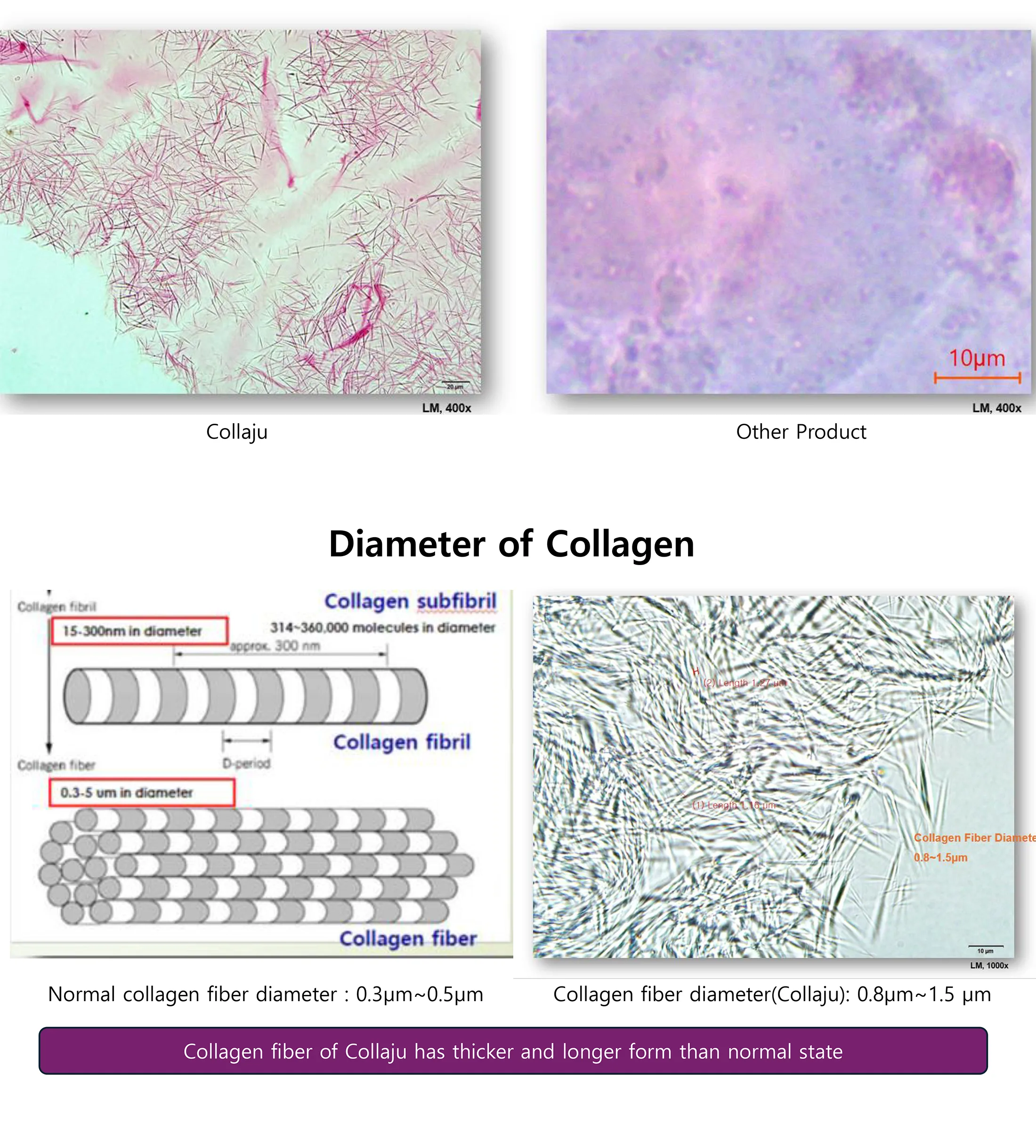 2024 Collaju Pt Rev.240805 1 04 66Fd6E92 - Botoderm