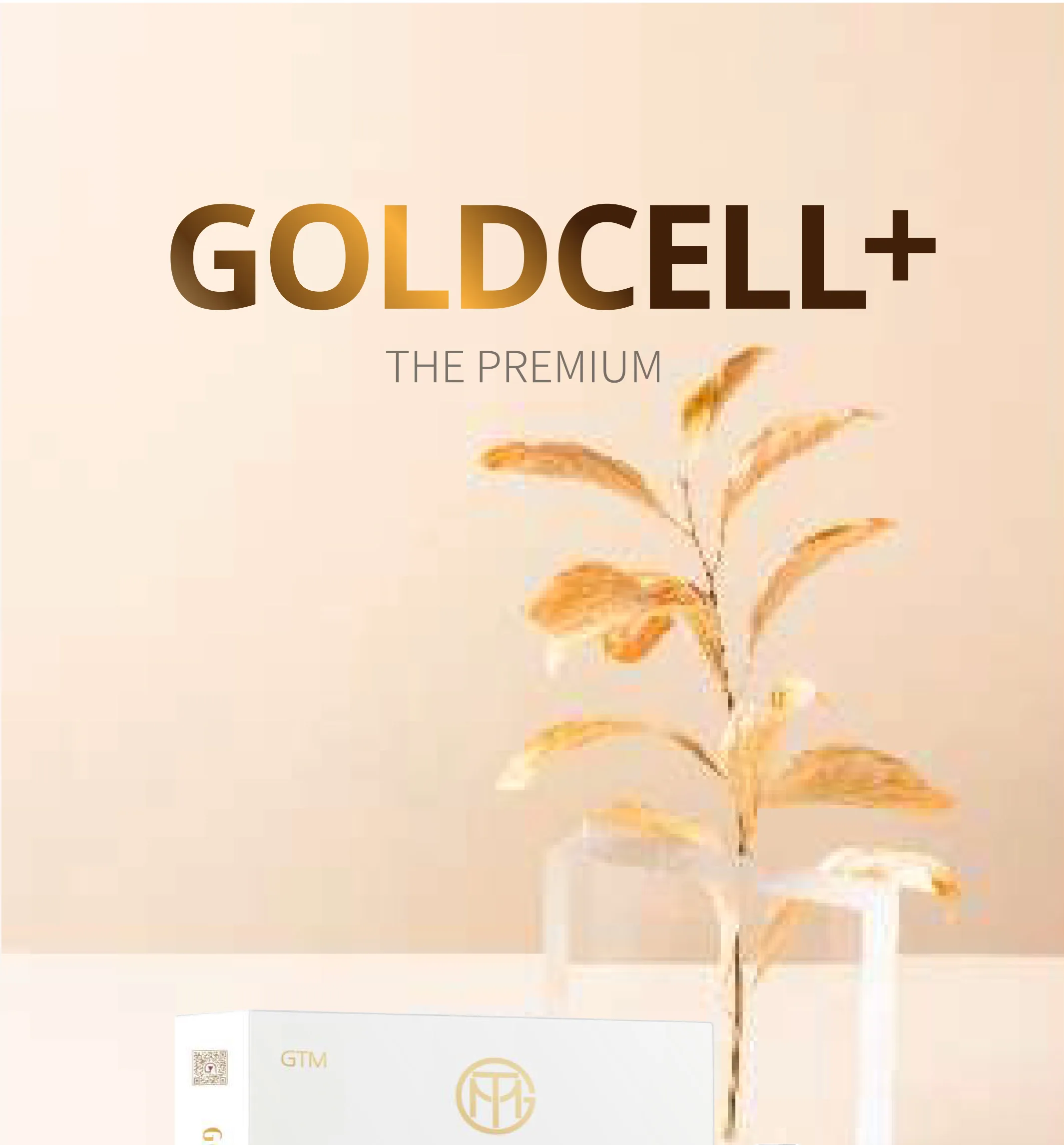 20241126 Goldcell Ec 98 81 Ec 96 B4 Compressed 1 01 150C269C - Botoderm