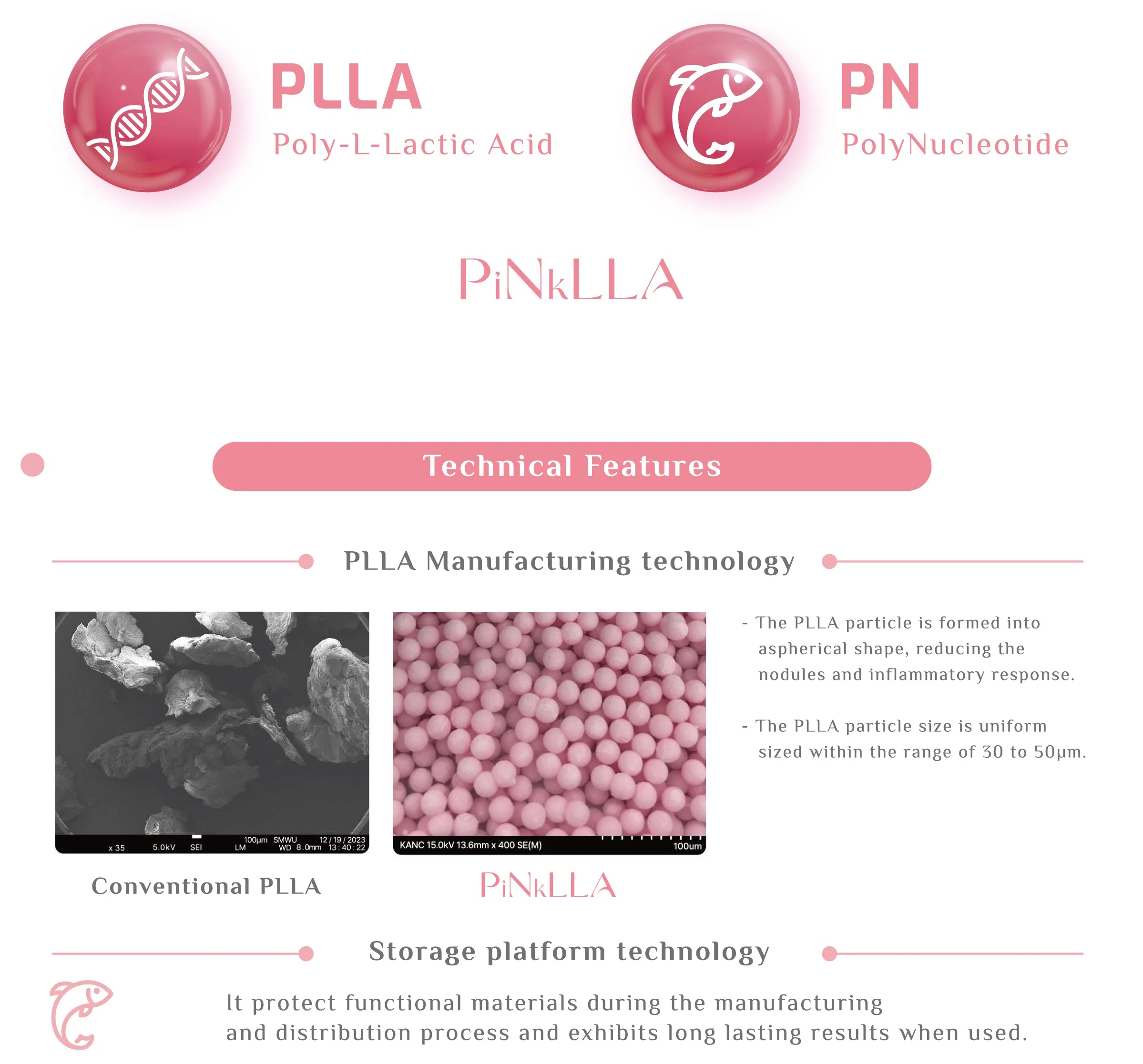 3. Pinklla Brochure 1 03 89E19488 - Botoderm