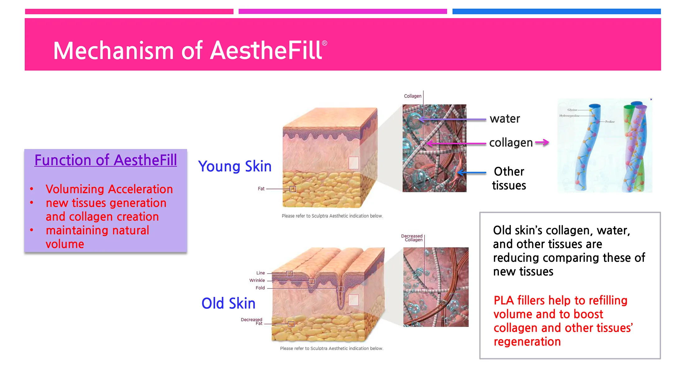 Aesthefill Plla 1 10 Dc540B6B - Botoderm