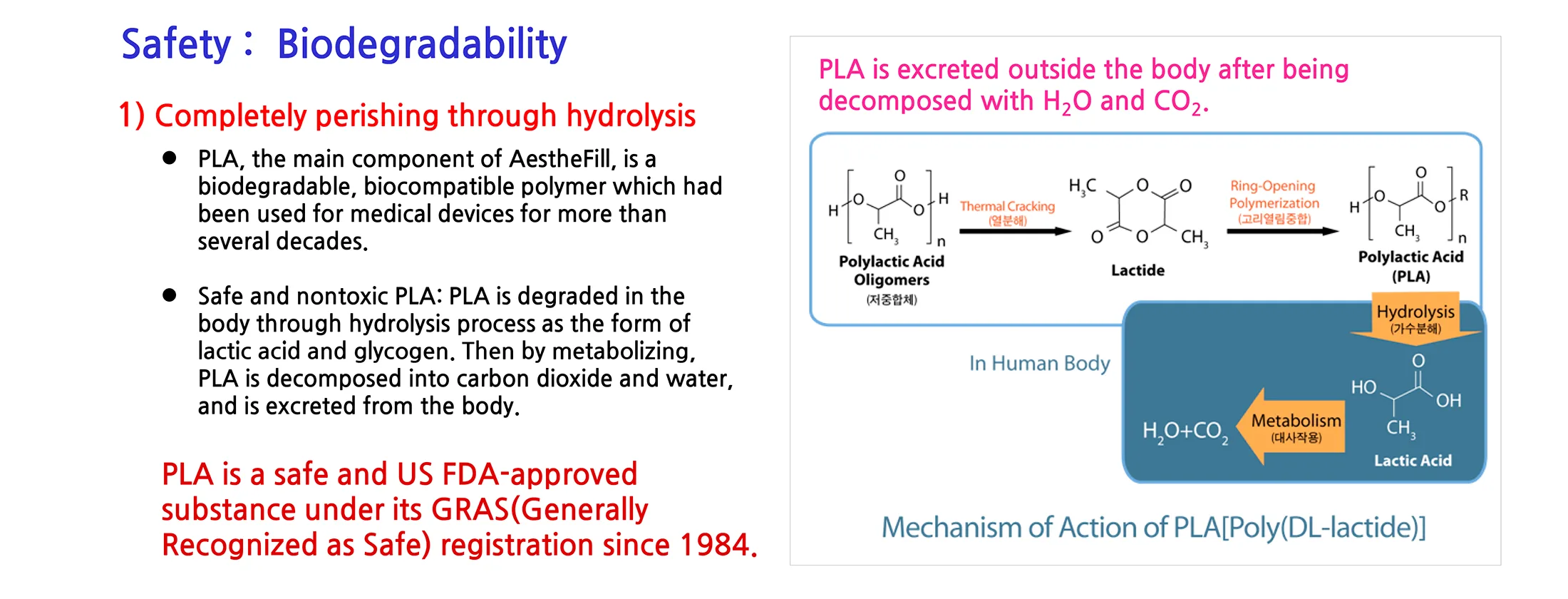 Aesthefill Plla 1 17 Bc21F2Ba - Botoderm