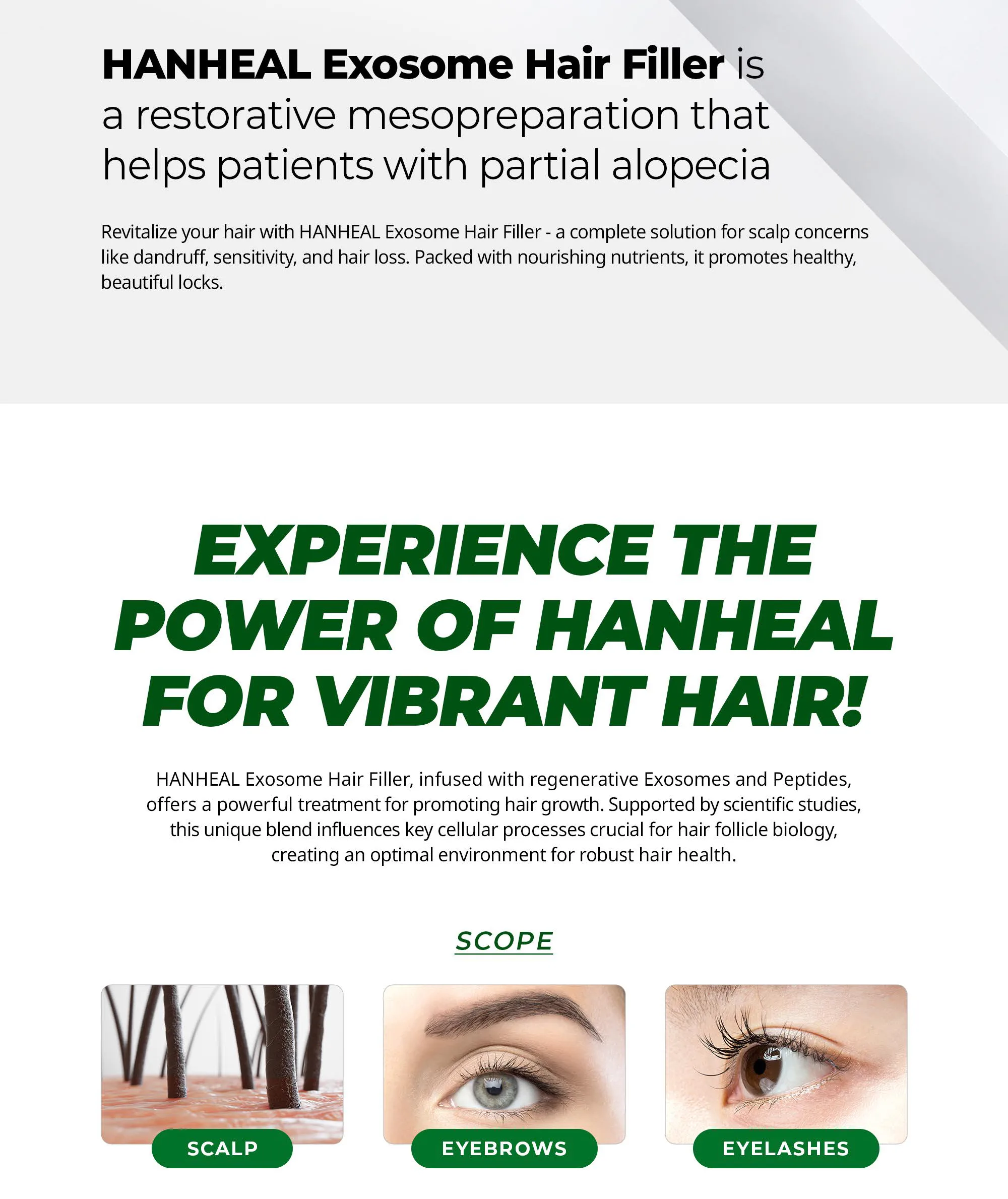 Bnc Hanheal Hair En 02 7Fe44Ede - Botoderm
