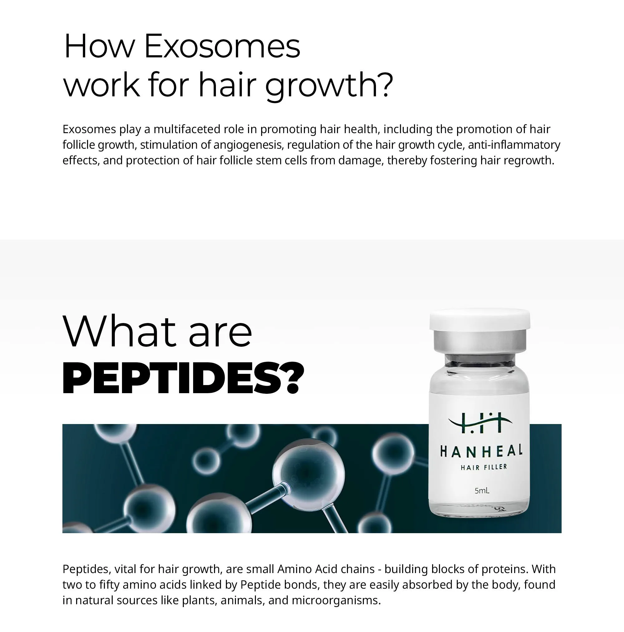 Bnc Hanheal Hair En 05 F8954819 - Botoderm