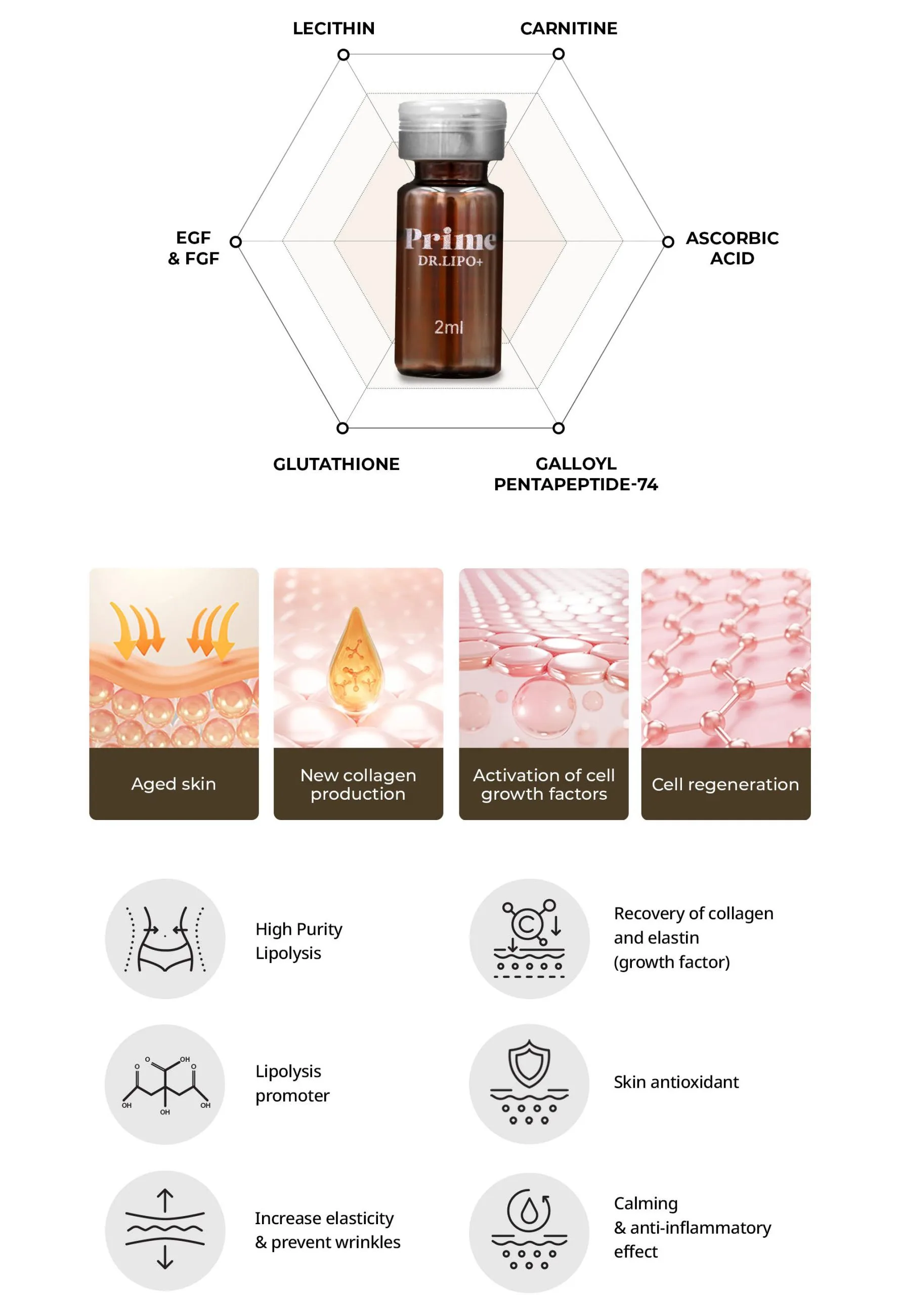 Bnc Primedrlipo En 1 06 Scaled 4969B871 - Botoderm