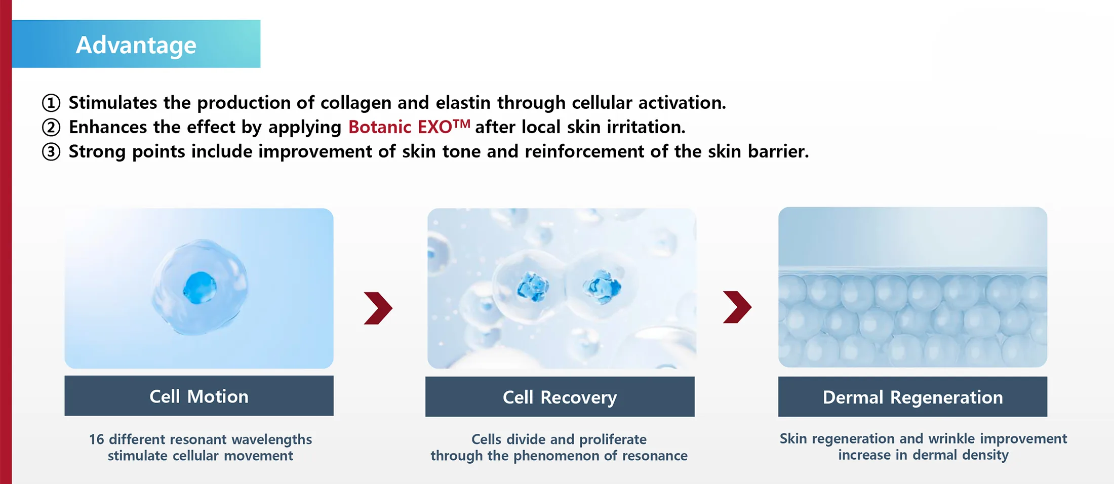 Botanicexo Ifu Ec 98 81 Eb Ac B8 Ec B5 9C Ec A2 85 20230823 1 05 3B69185F - Botoderm