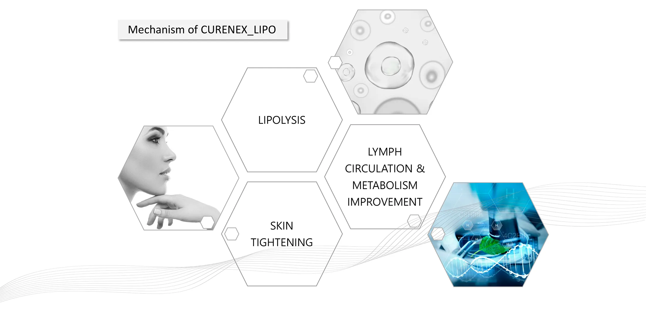 Curenex Lipo 1 05 7Ad3A0E2 - Botoderm