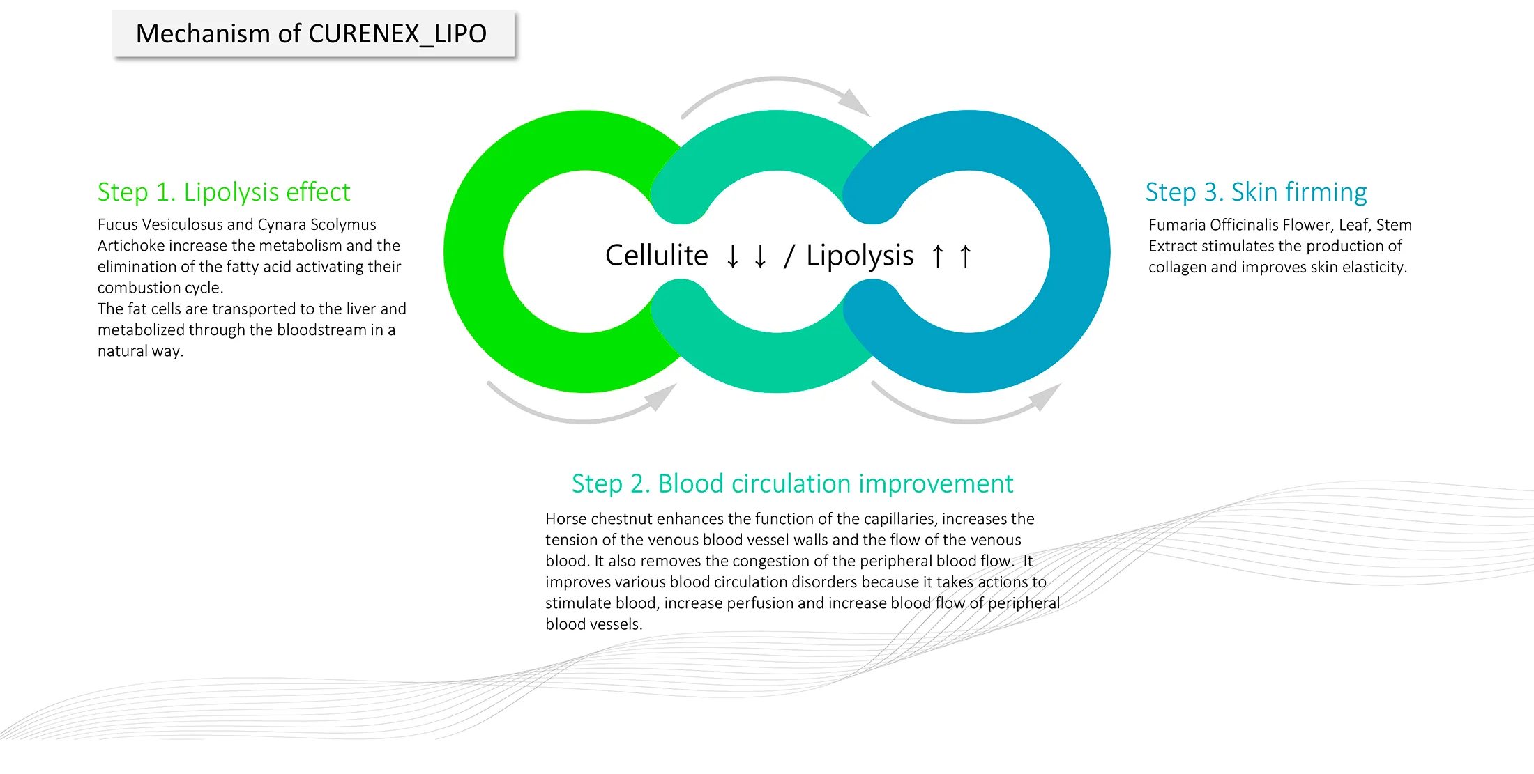 Curenex Lipo 1 06 2792B1Bb - Botoderm