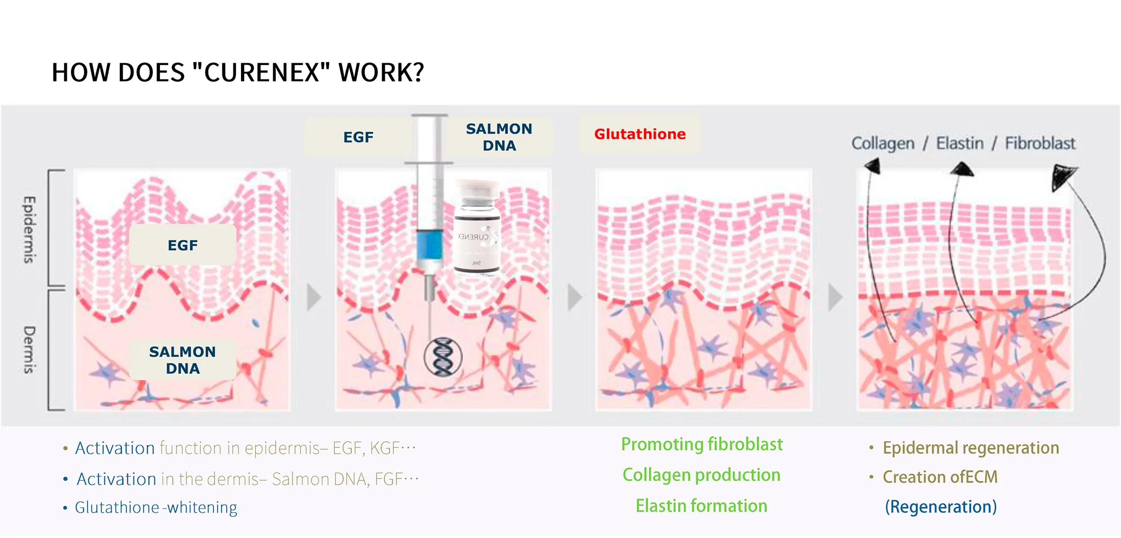 Curenex Rejuvenating 05 6B5Cb843 - Botoderm
