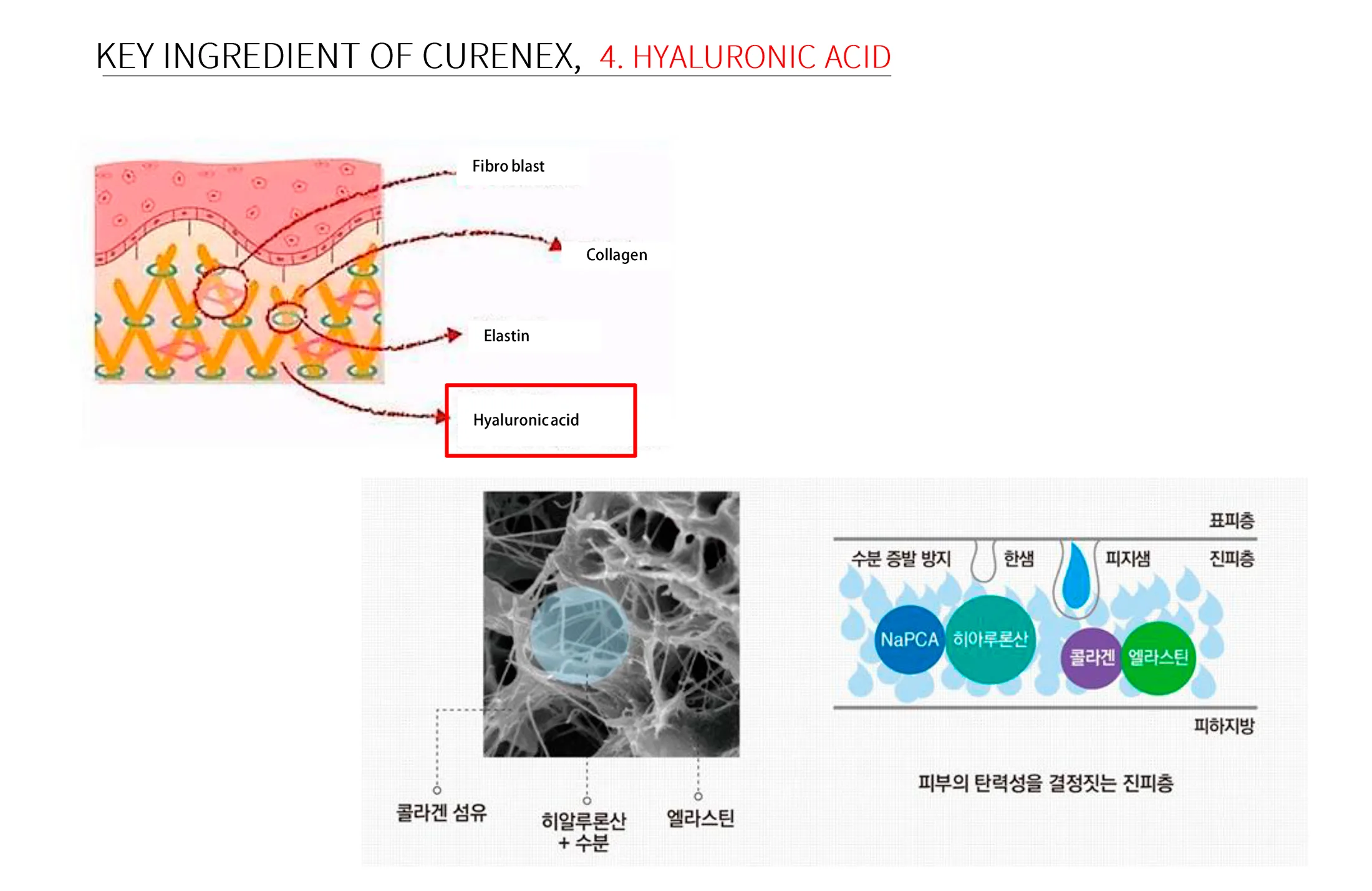 Curenex Rejuvenating 16 B0E30657 - Botoderm