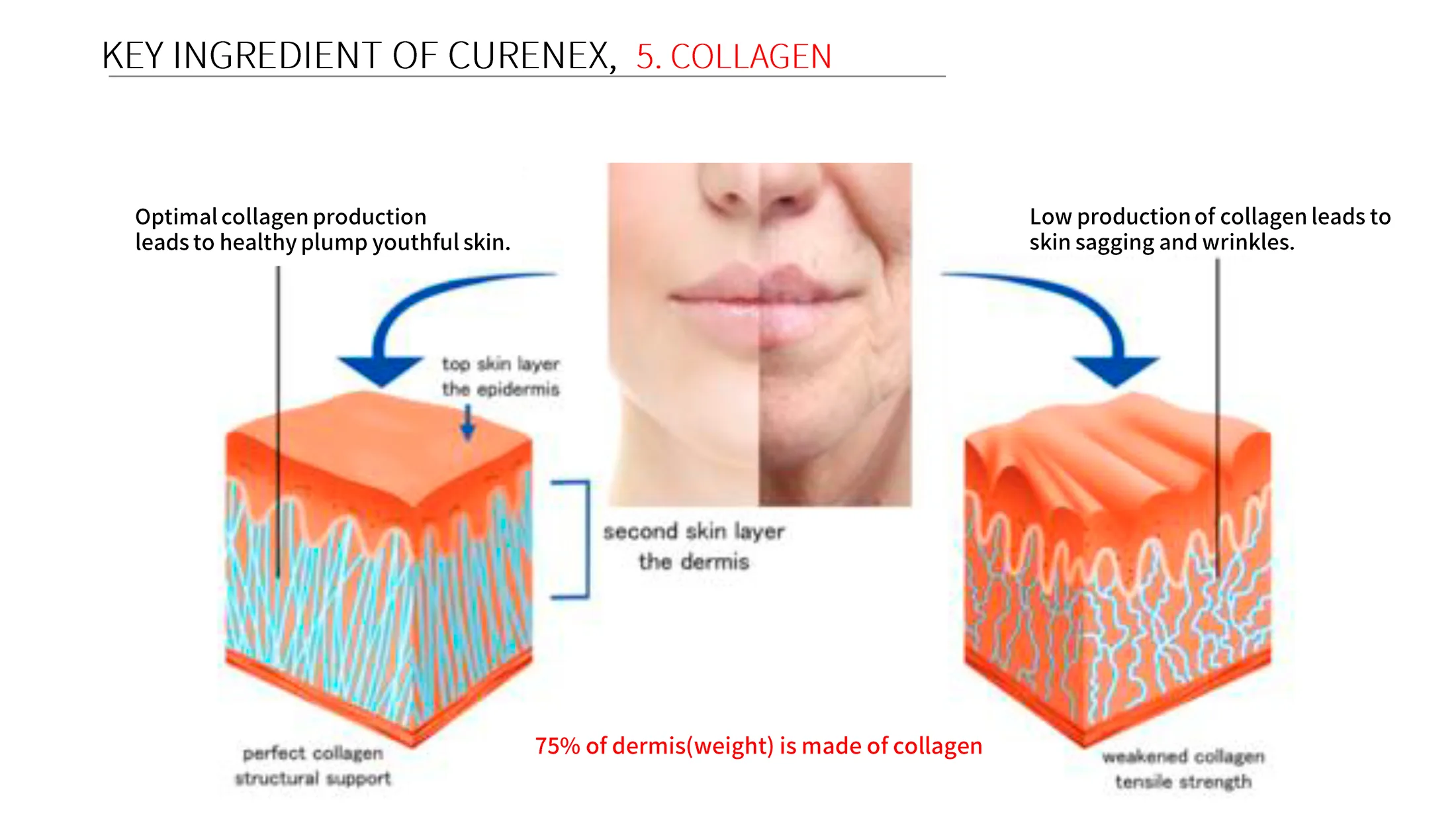 Curenex Rejuvenating 17 2147F483 - Botoderm