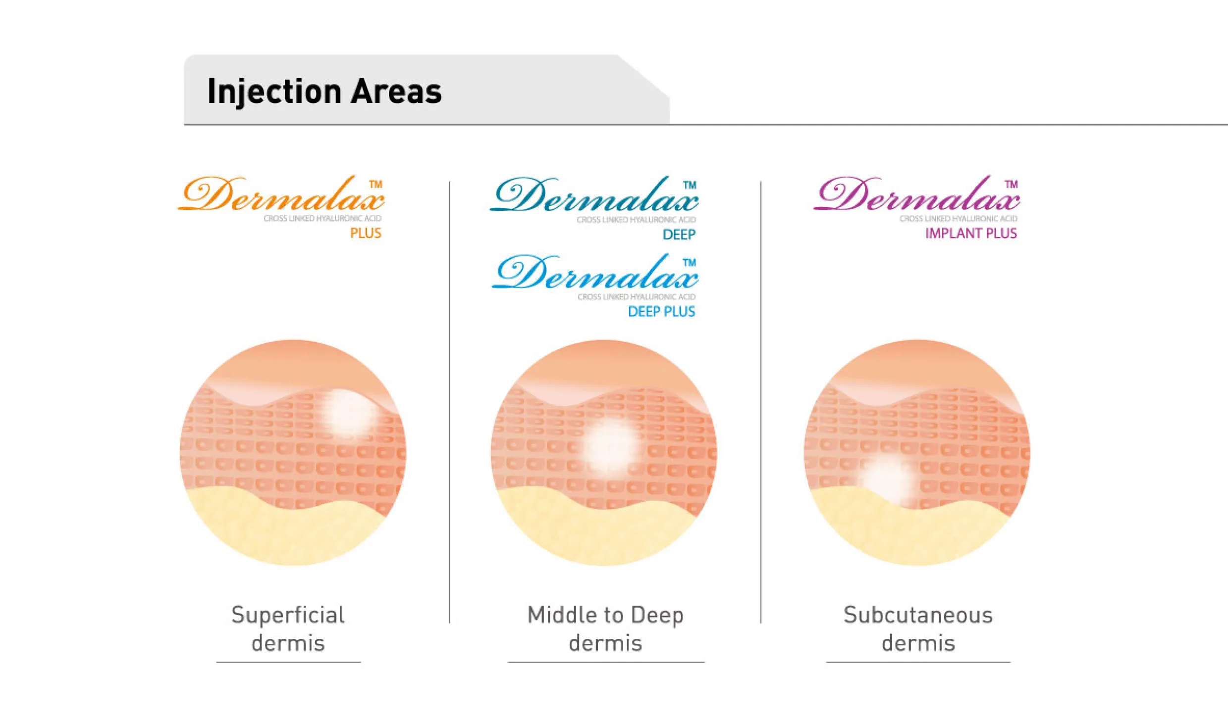 Dermalax 1 08 6E595B9D - Botoderm