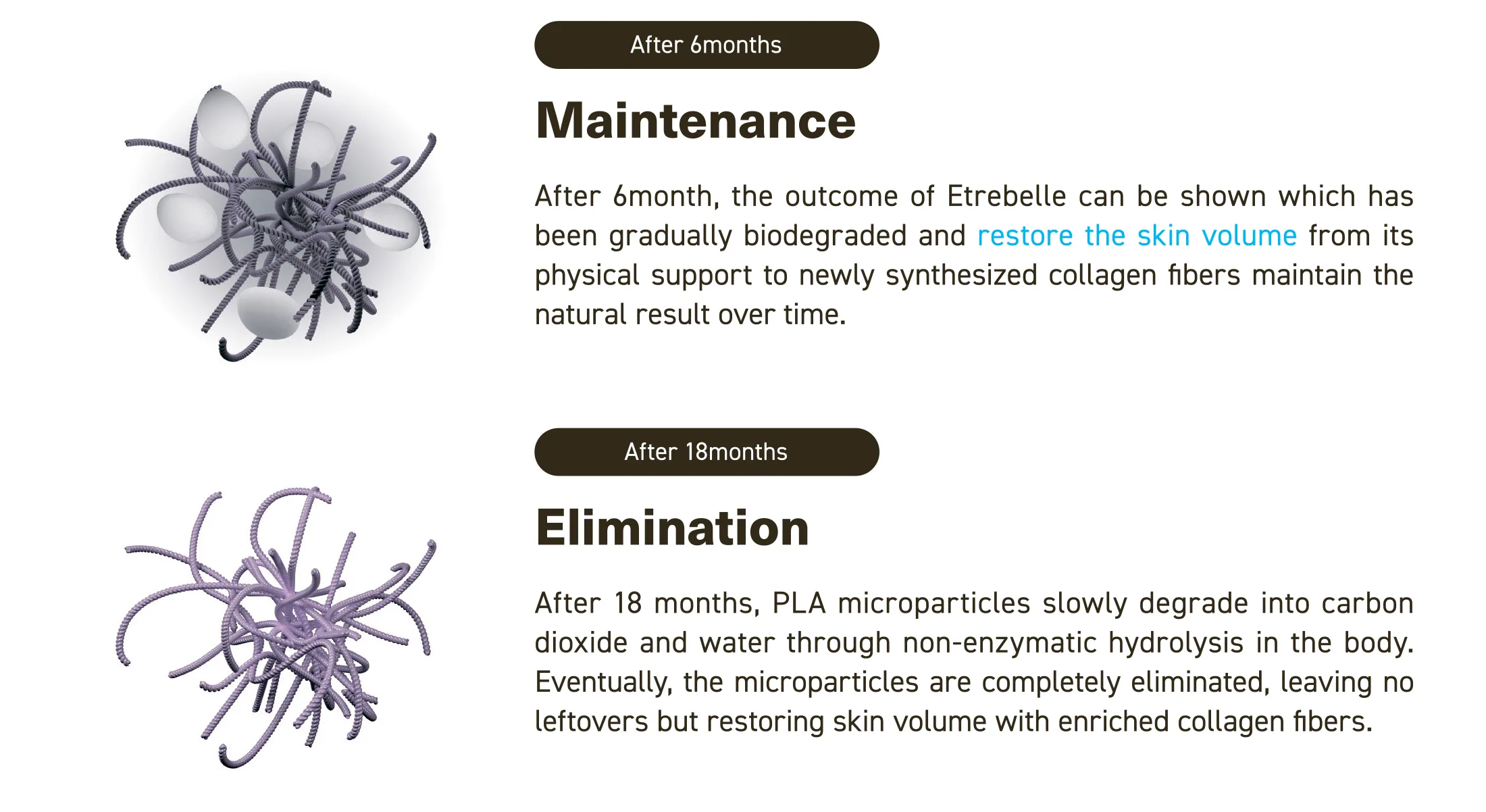 Etrebelle 50 Br 04 D3D37594 - Botoderm