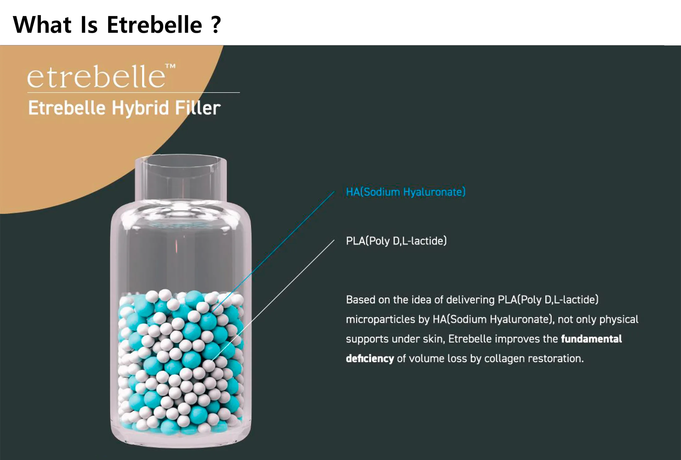 Etrebelle Proposal 1 01 6C55E9Fc - Botoderm