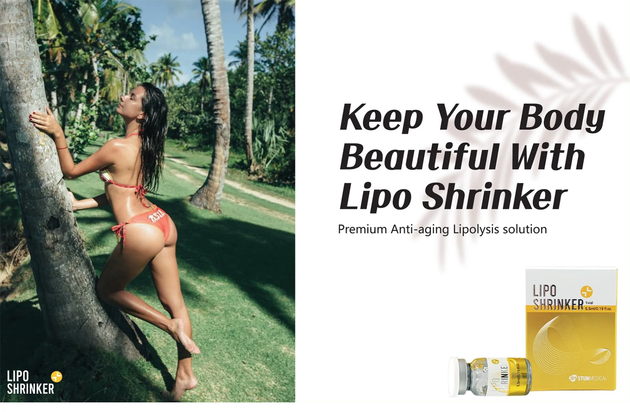 Lipo Shrinker Ppt En 1 01 03A73Daa - Botoderm