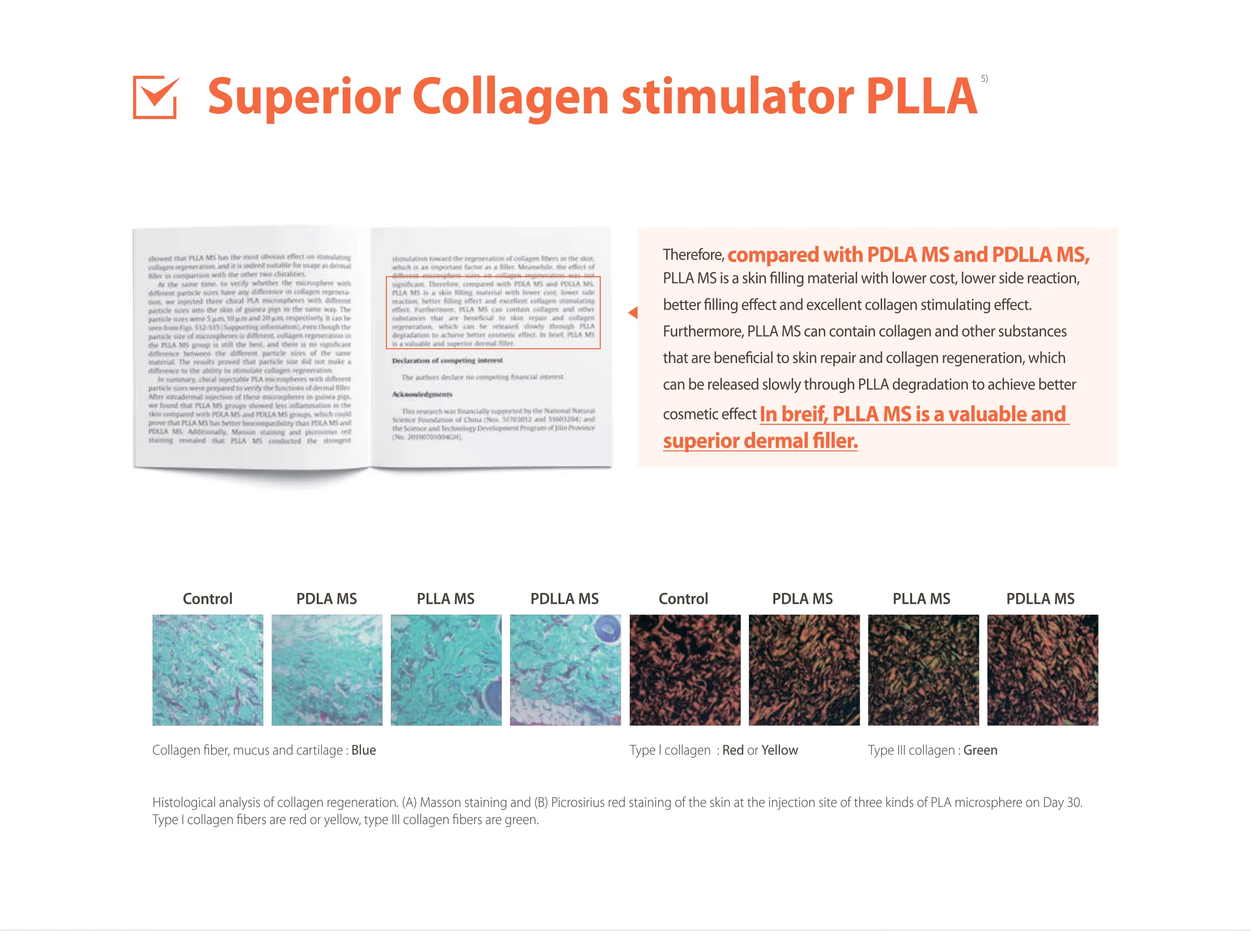 Olidia Plla 1 09 B981B6Ae - Botoderm