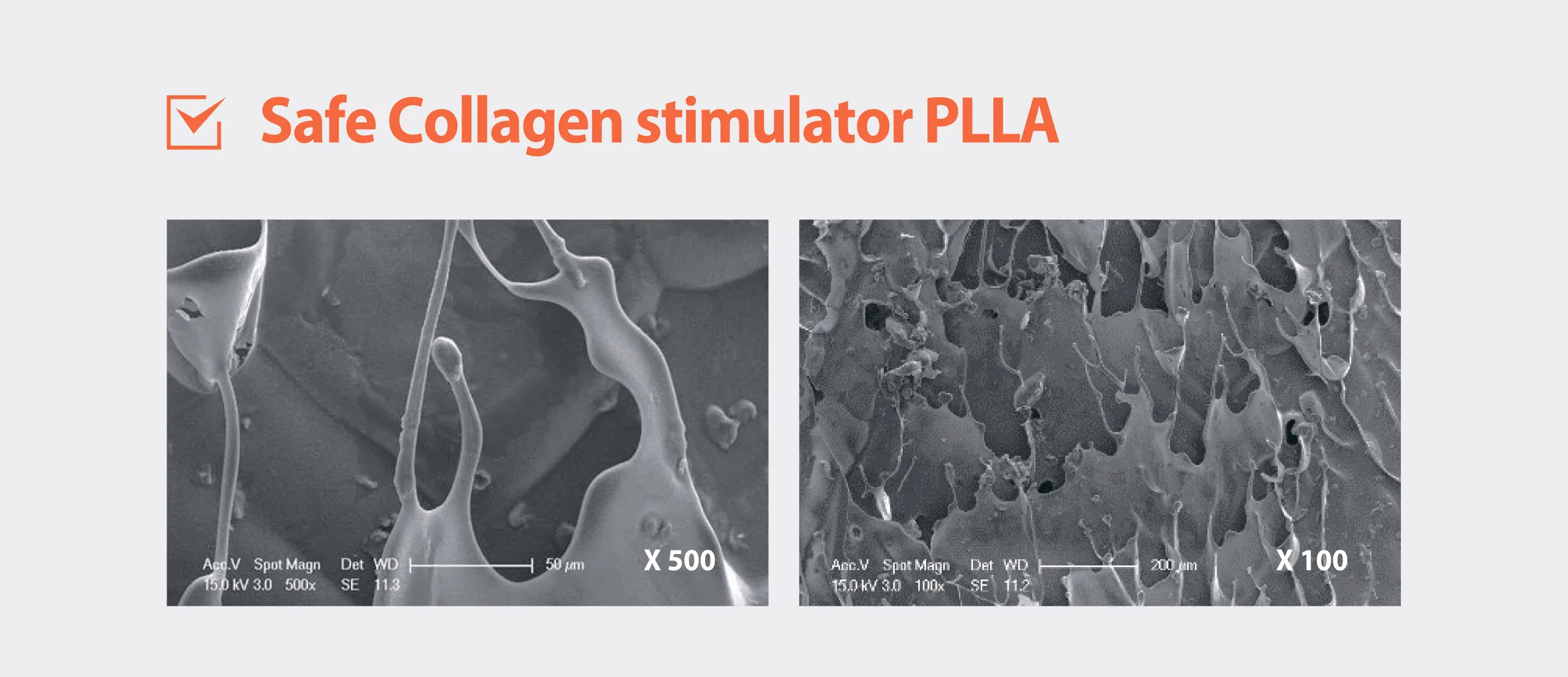 Olidia Plla 1 10 A52Dbcf2 - Botoderm
