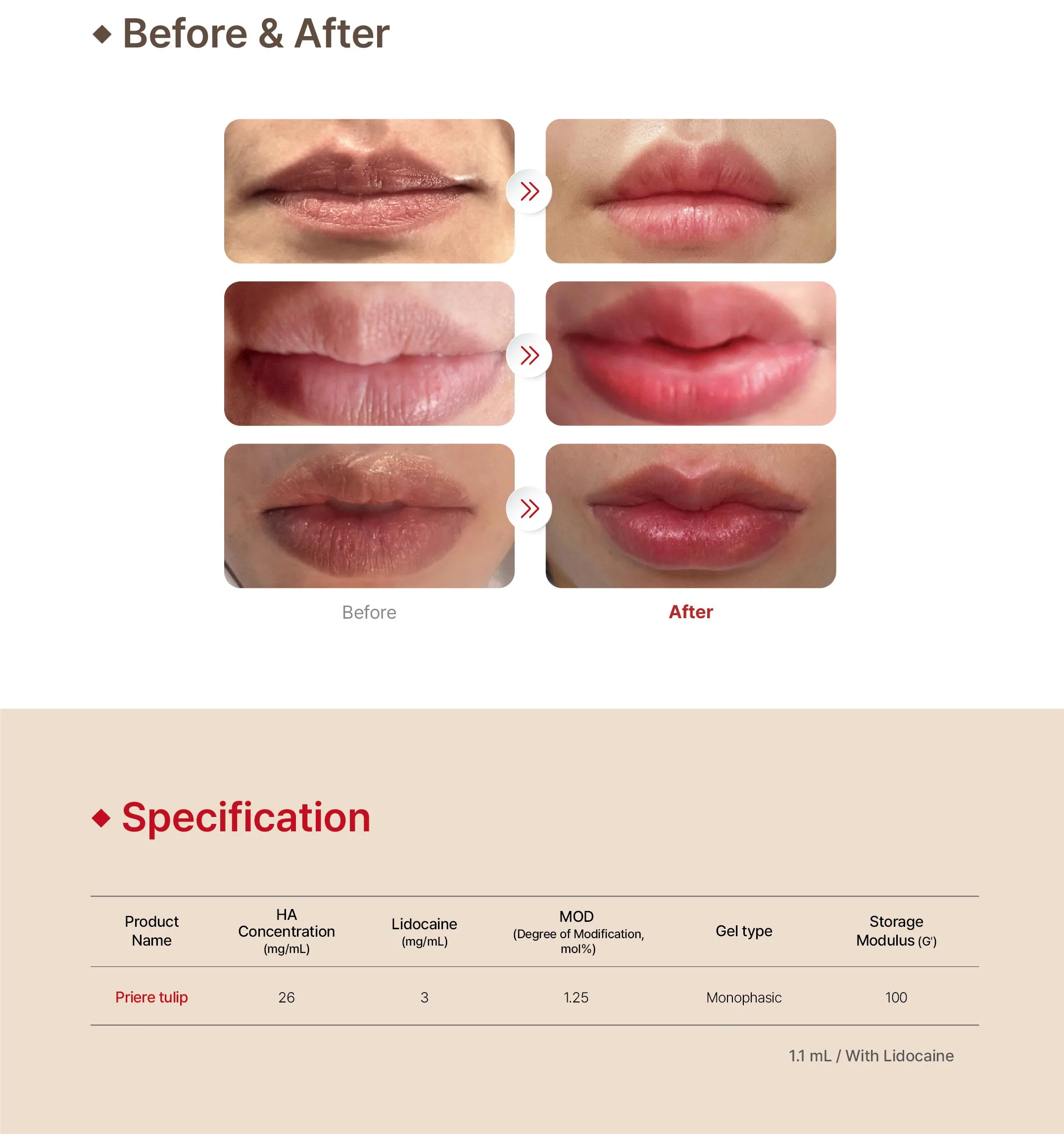 Priere Brochurejd Bio 1 04 02D91C83 - Botoderm