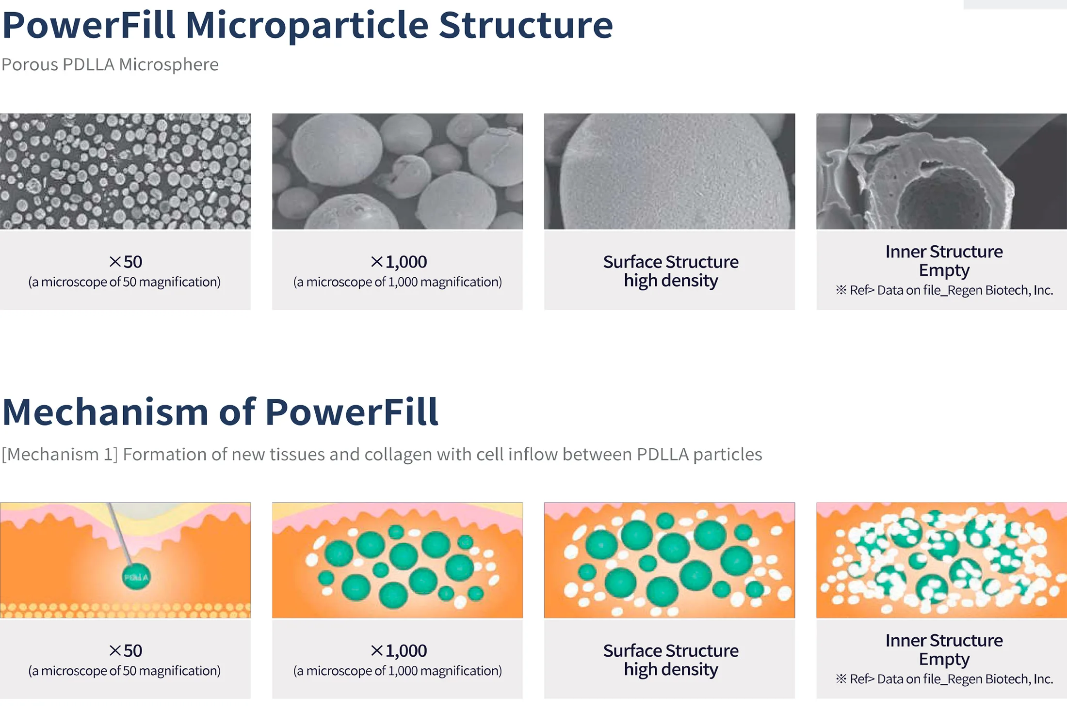 Powerfill Brochure En 1 03 9E76E95A - Botoderm