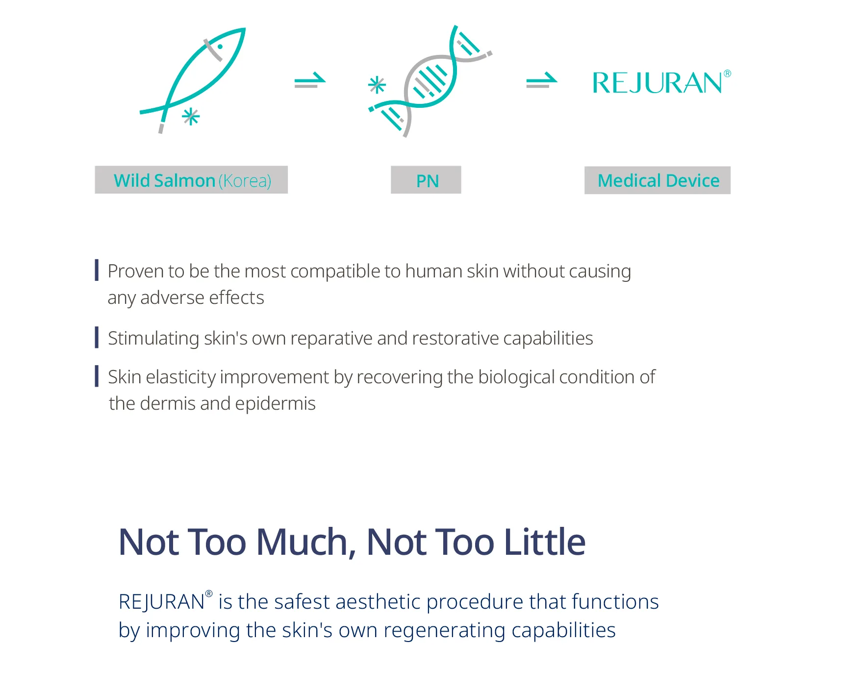 Rejuran Brochure En 3 02 53Cd5850 - Botoderm