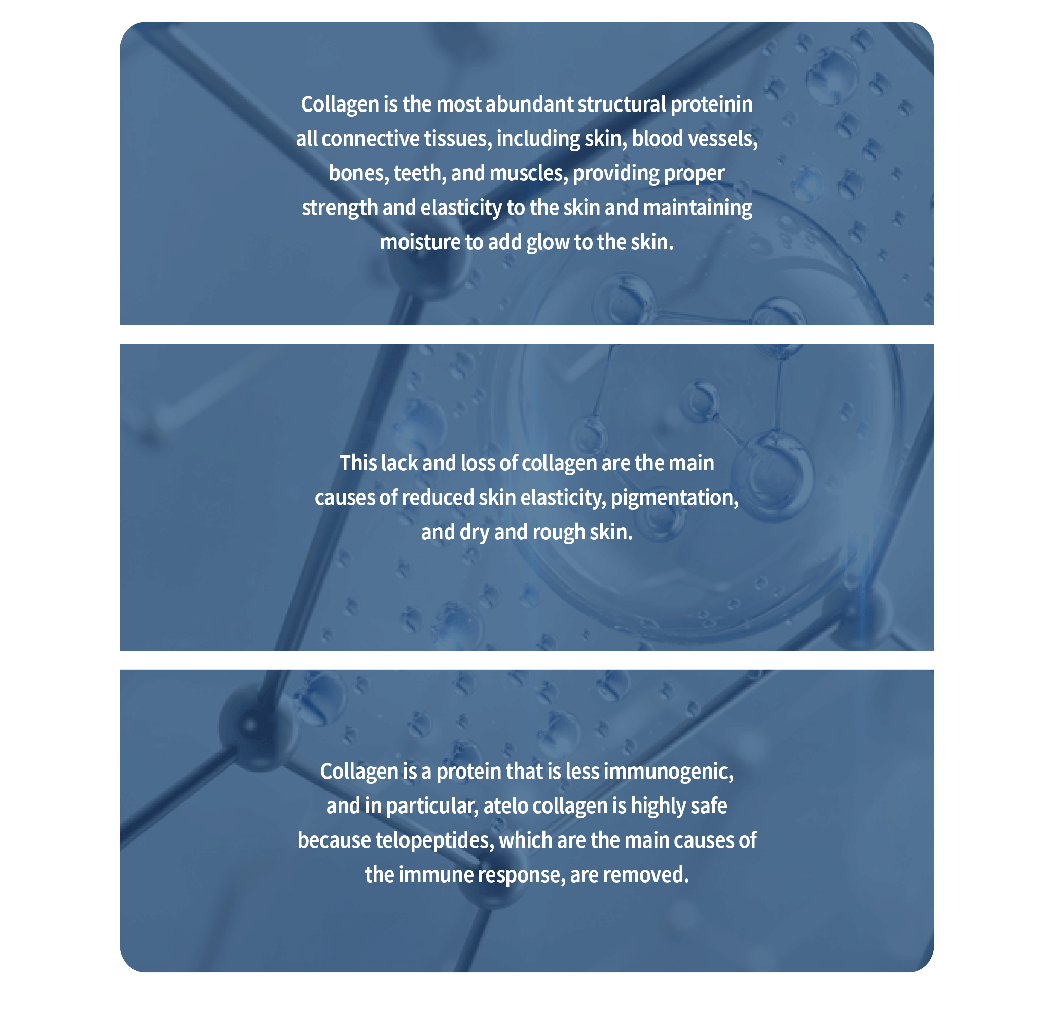 Richesse Collafilo Brochure 1 05 B04Ec4Dc - Botoderm