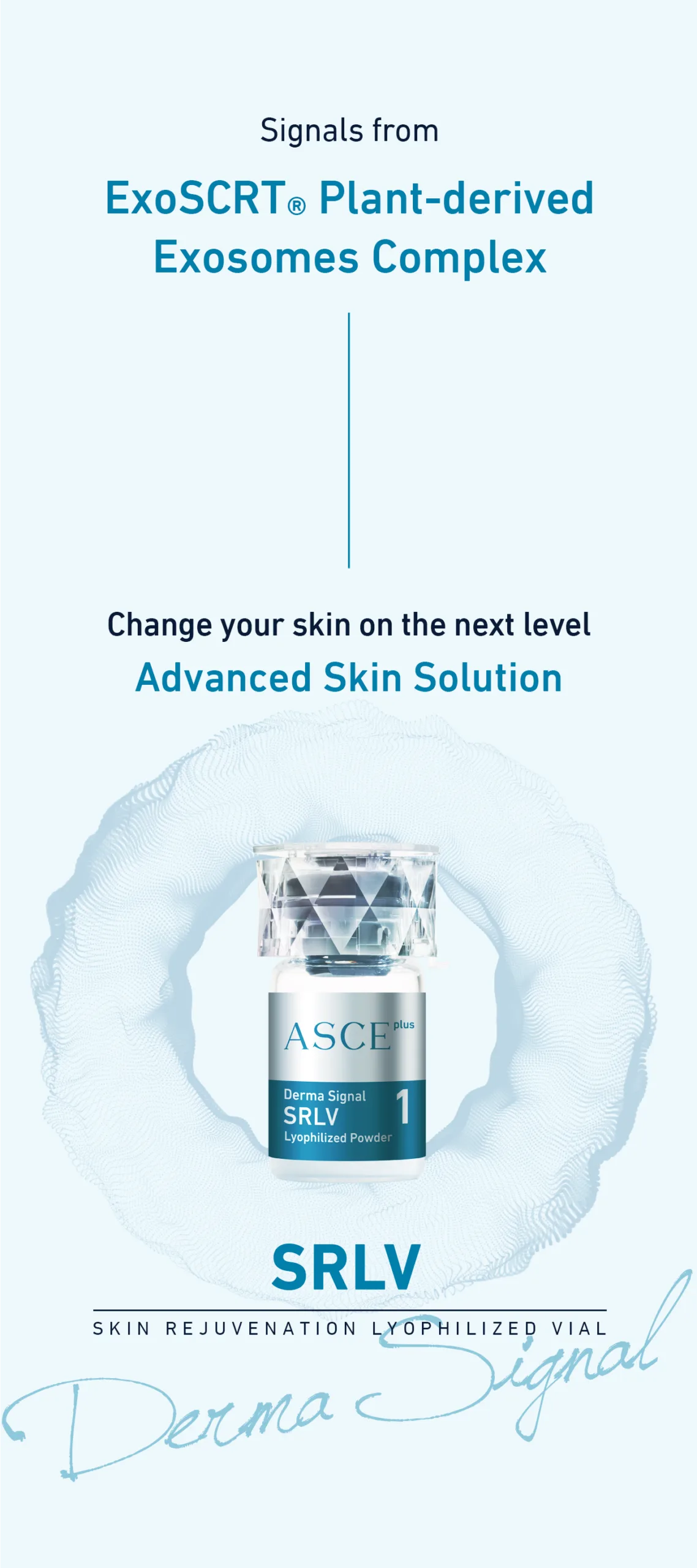 Ascesrlv 3 E427Bebb Scaled - Botoderm