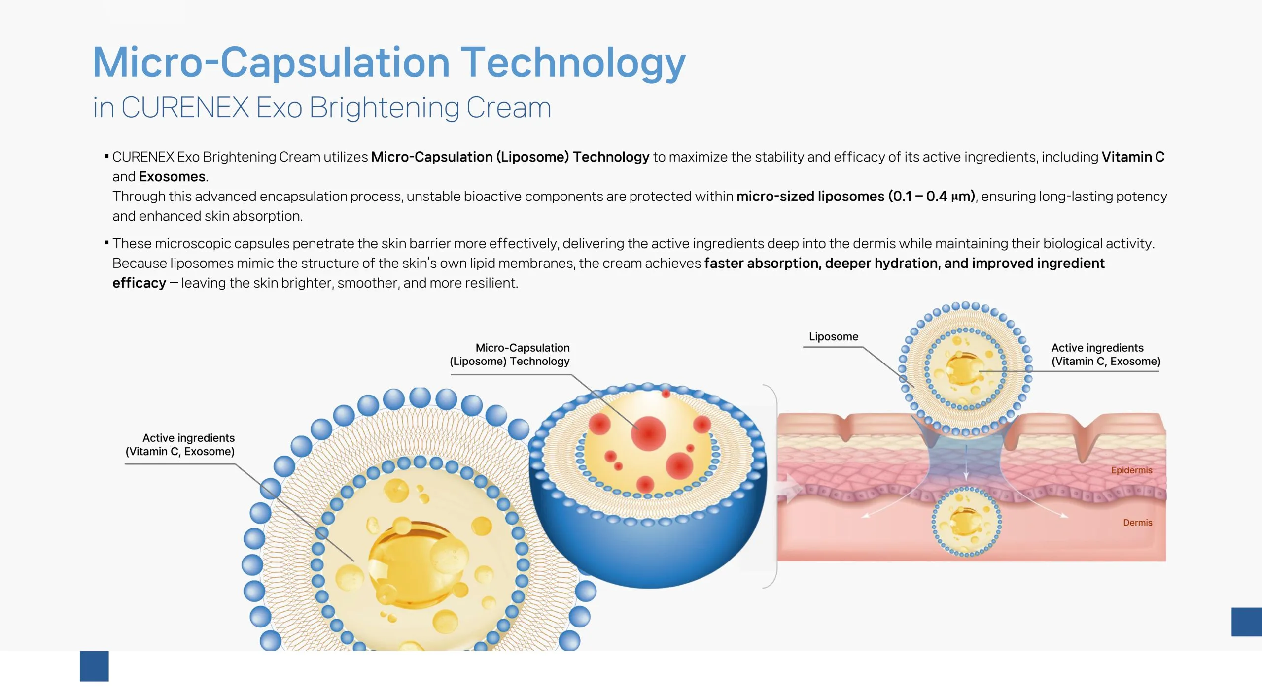 Curenex Exo Cream 06 Scaled 95625E98 - Botoderm