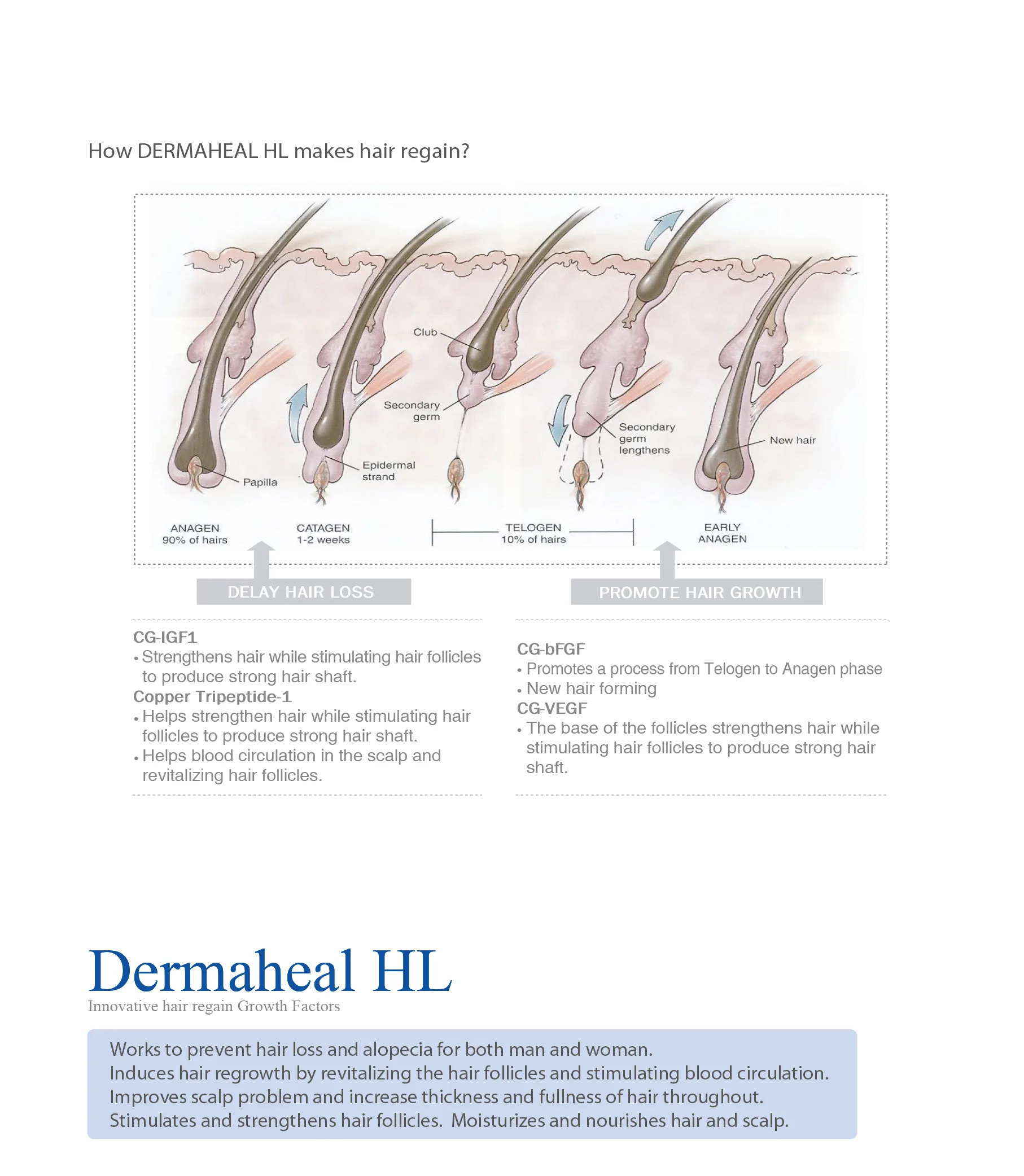 Dermaheal Hl 02 99078208 - Botoderm
