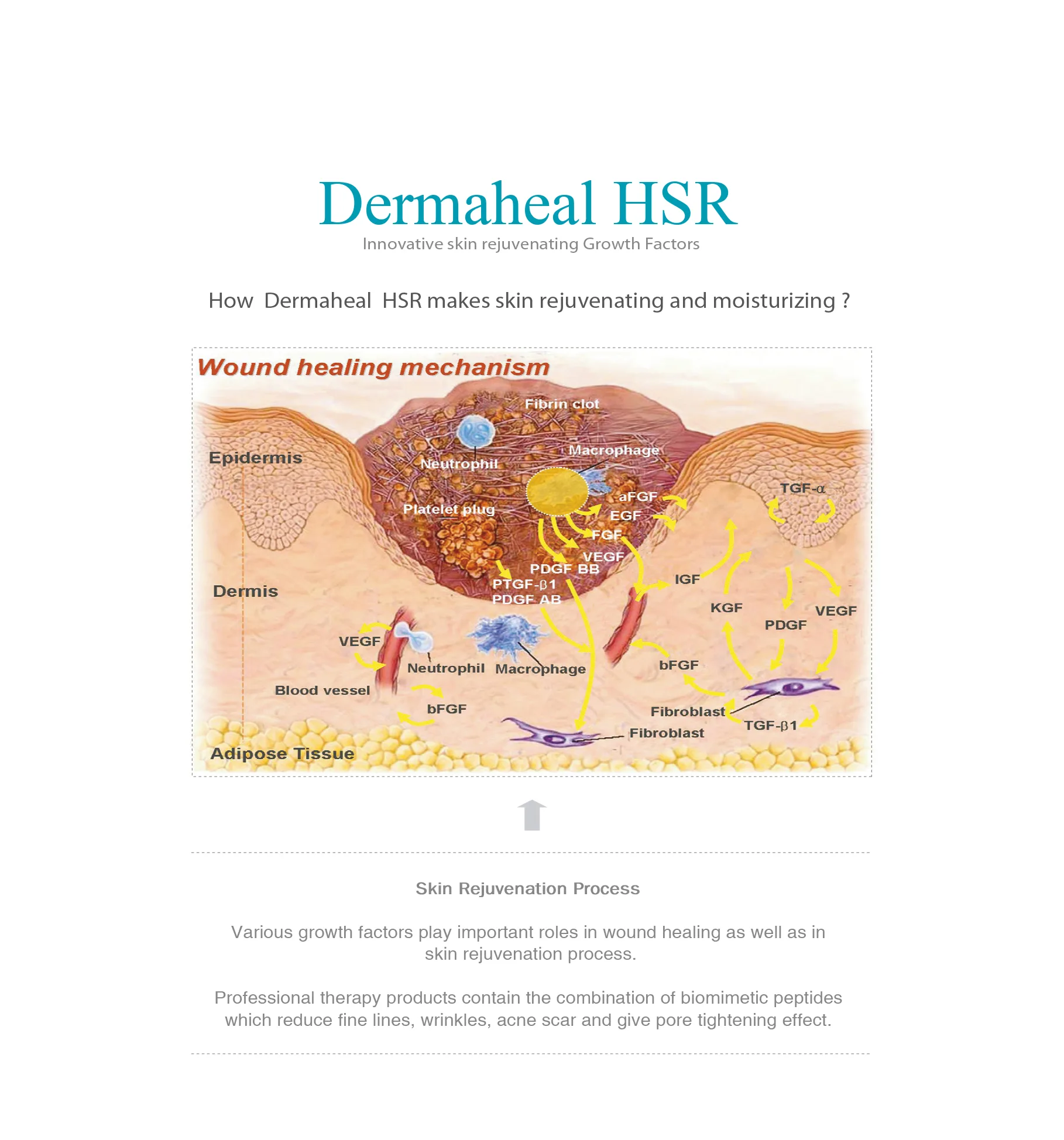 Dermaheal Hsr 02 E54C0D31 - Botoderm