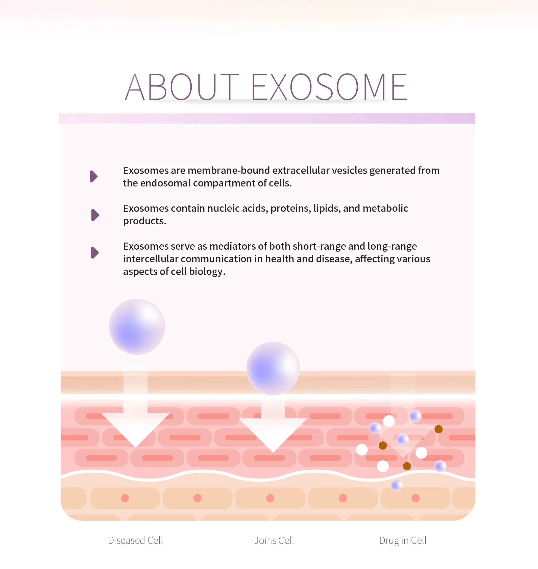 Exomela 03 88Eff30A - Botoderm