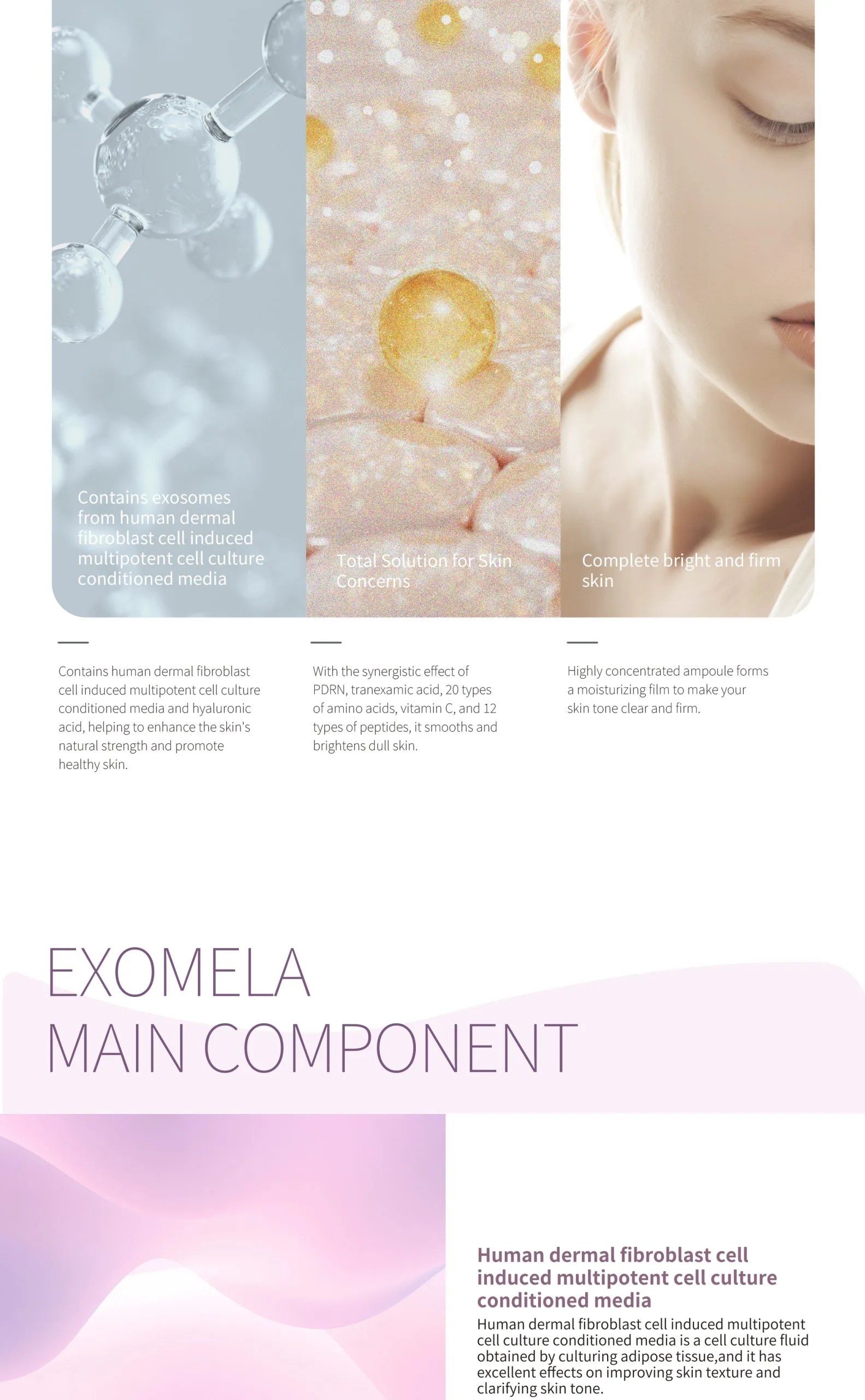 Exomela 05 Scaled 3665A440 - Botoderm