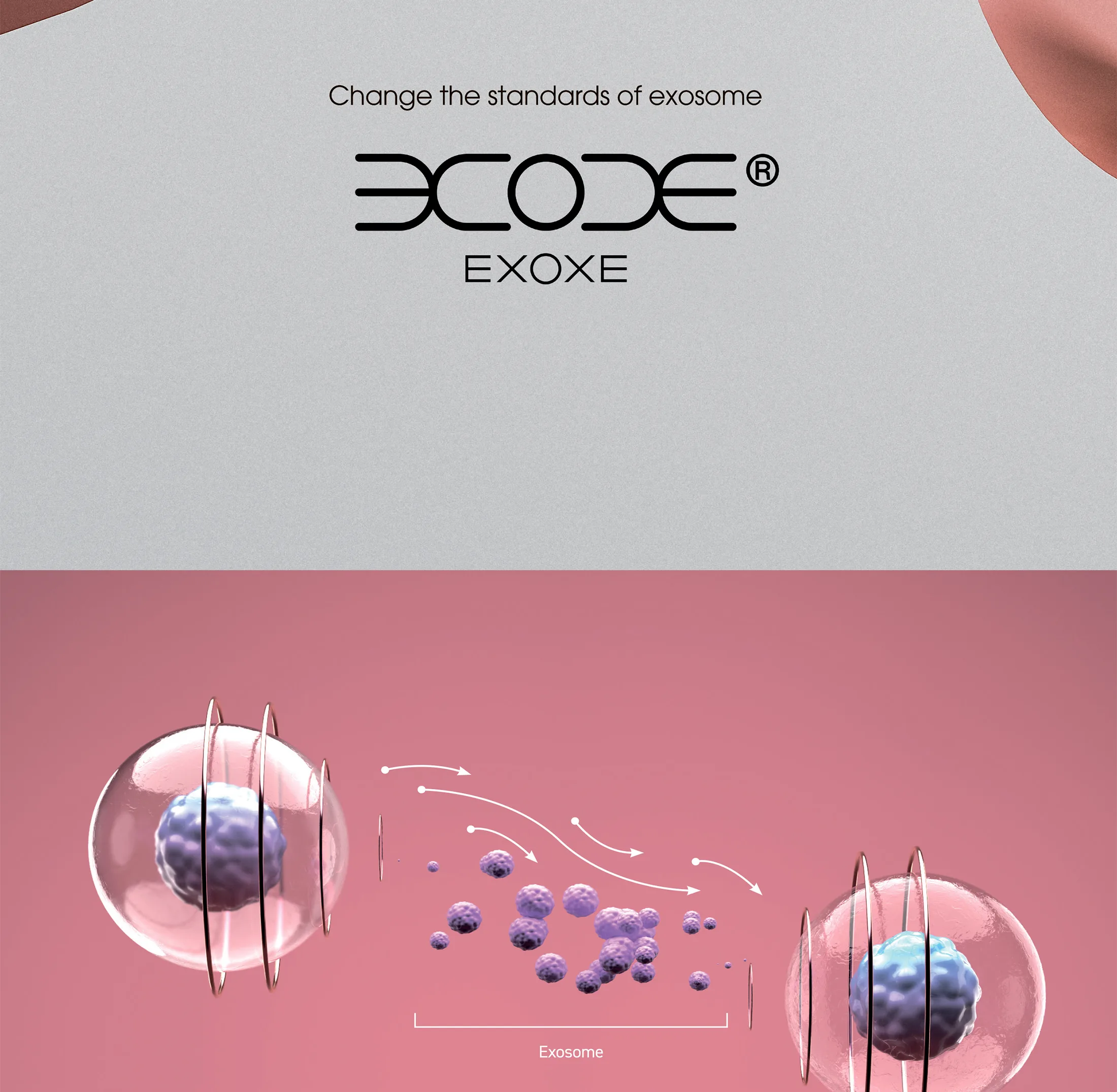 Exoxe Face 02 C31Aae3C - Botoderm