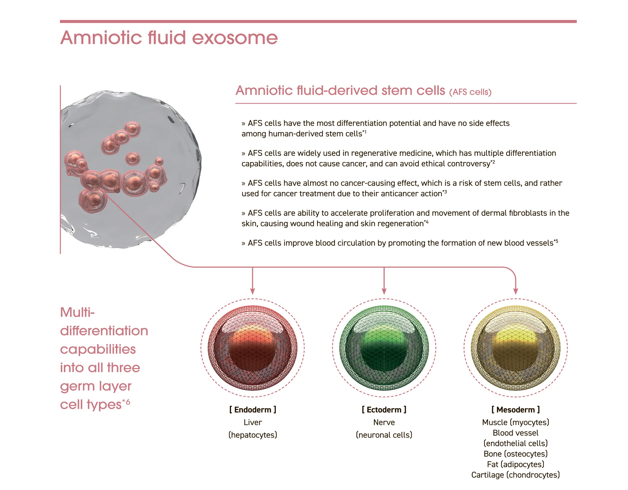 Exoxe Face 04 986Ca00D - Botoderm