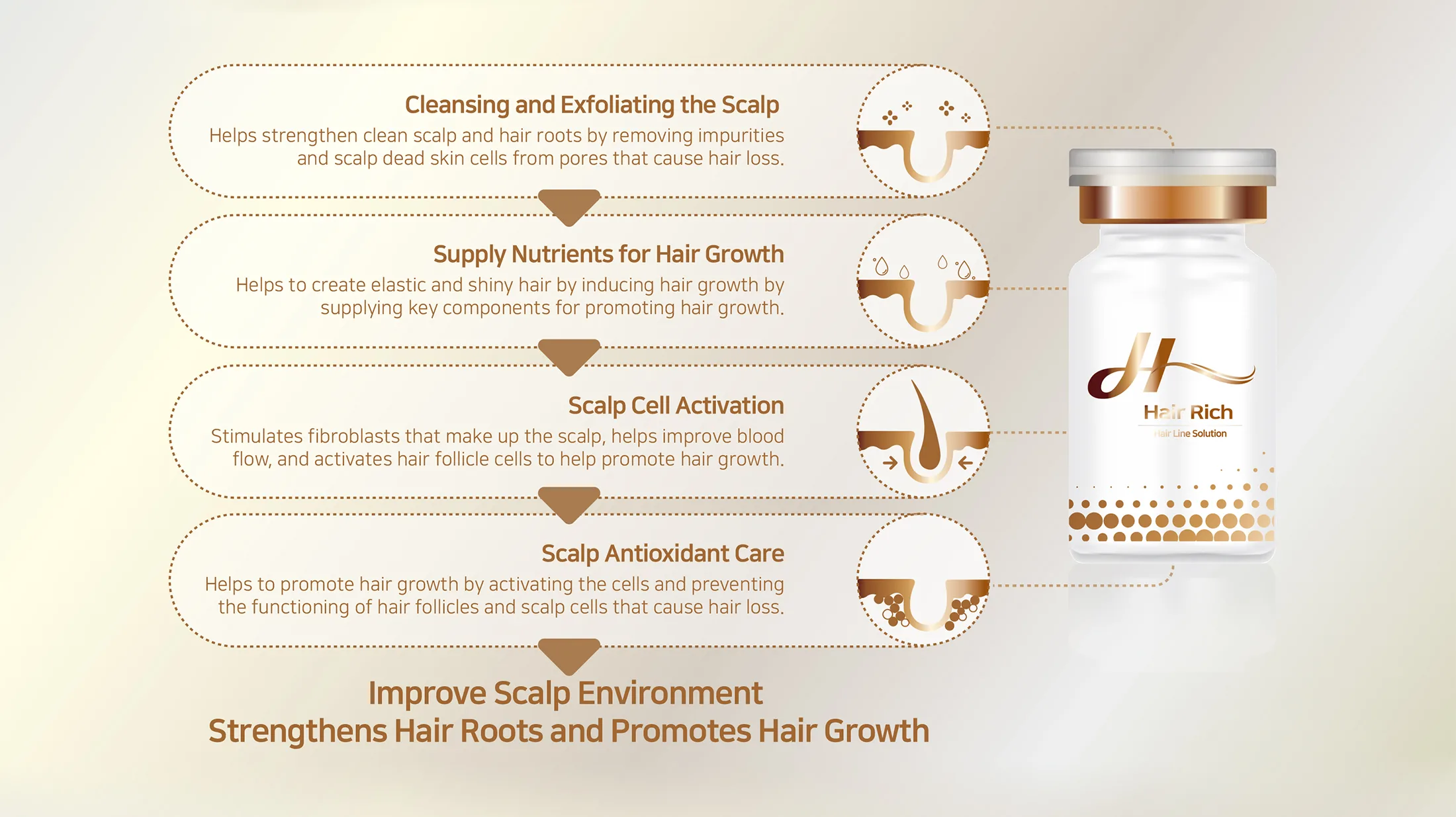 Sappire Hair Rich Br2 B88D2D91 - Botoderm