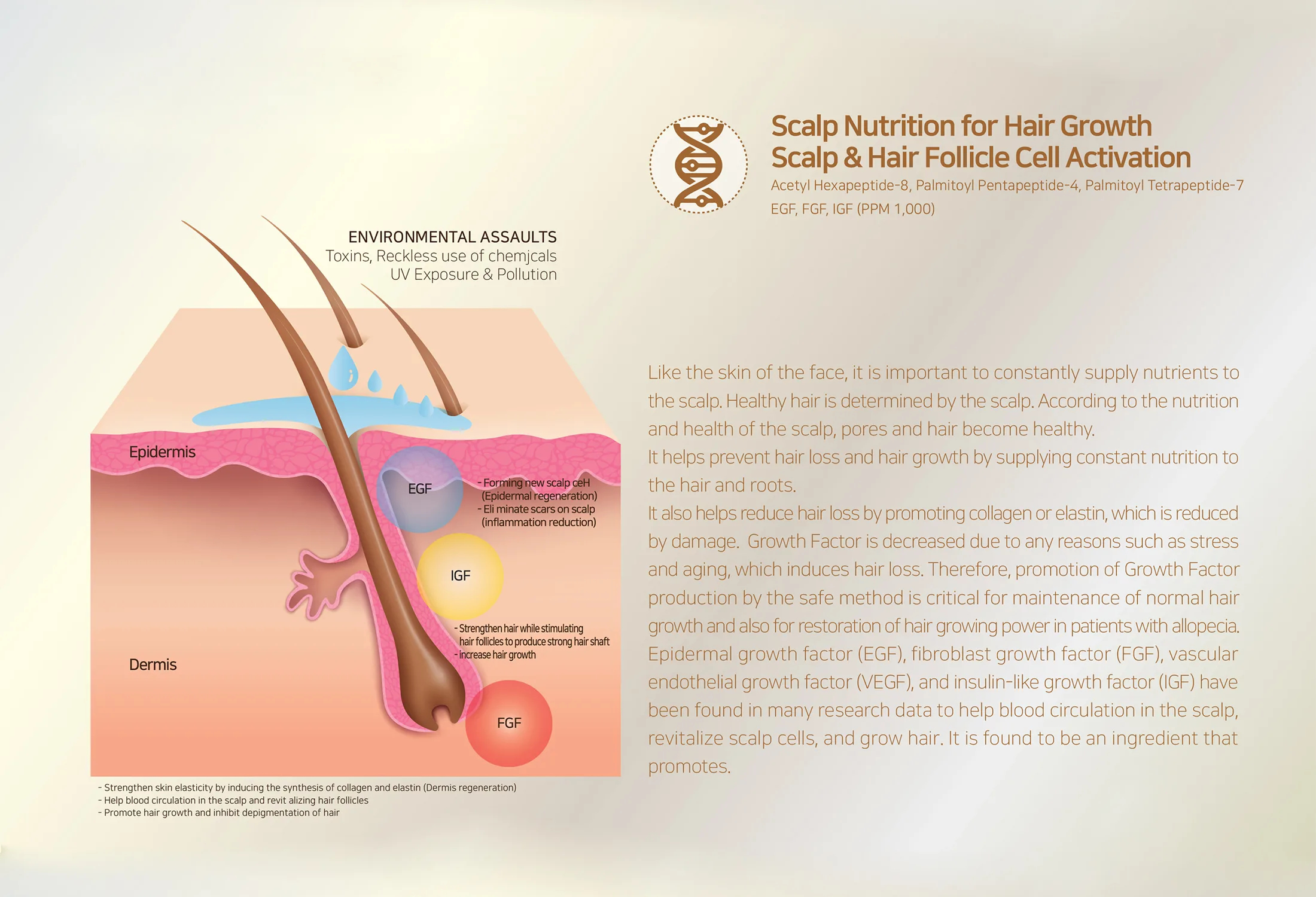 Sappire Hair Rich Br5 8E6Da646 - Botoderm