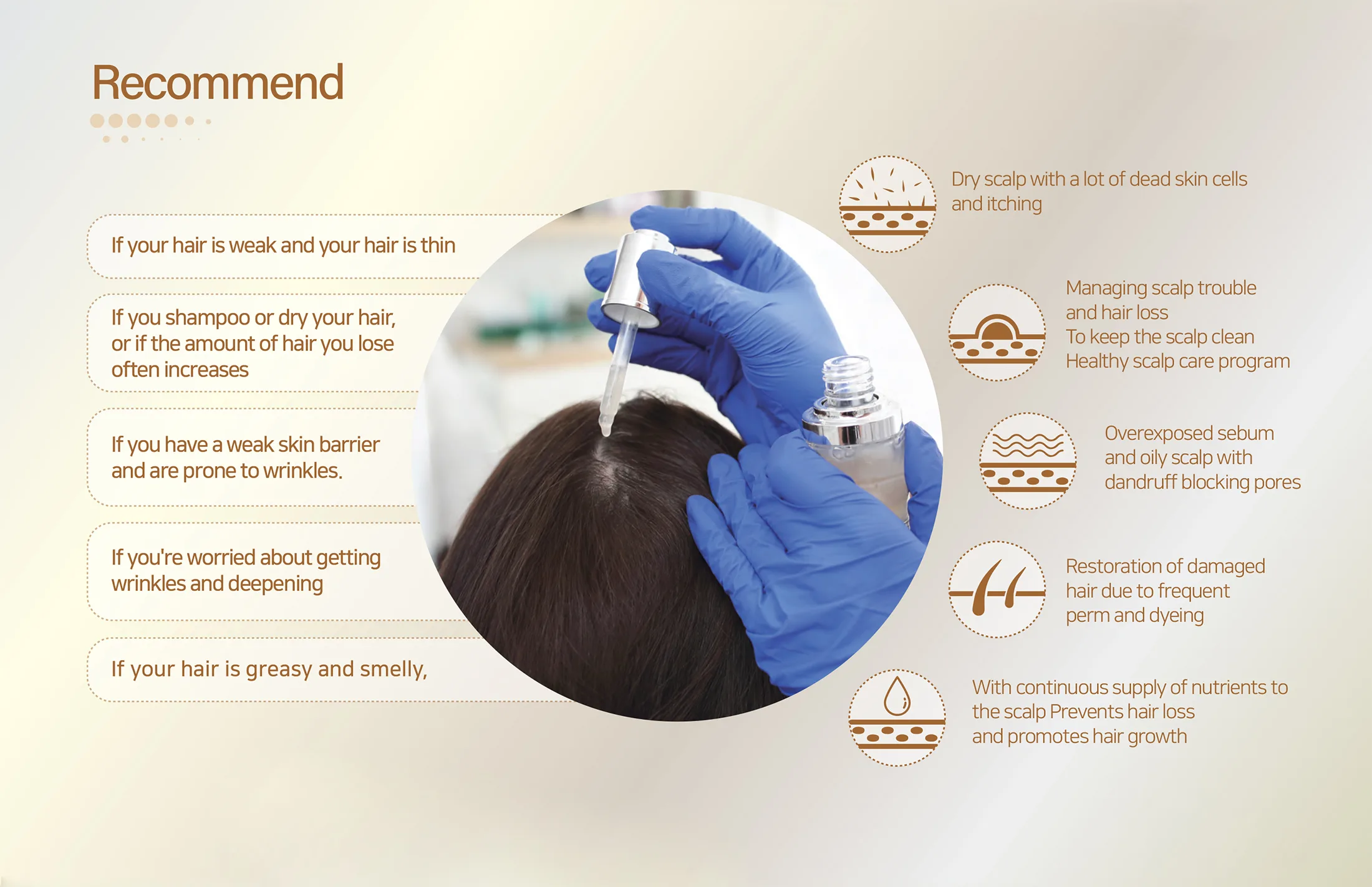 Sappire Hair Rich Br7 Ab73A1A1 - Botoderm