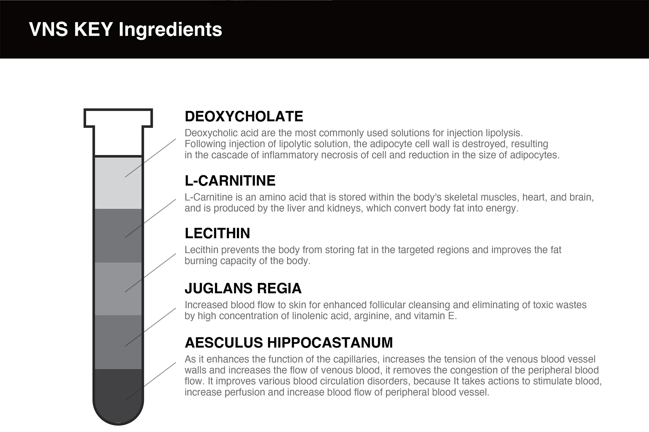Vns Brochure 06 243B9D97 - Botoderm