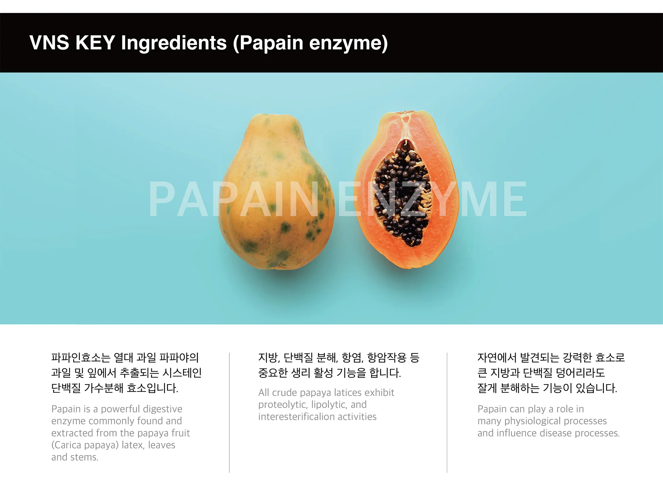 Vns Brochure 09 94Bb1938 - Botoderm